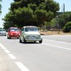 Montevago 2010 (456)